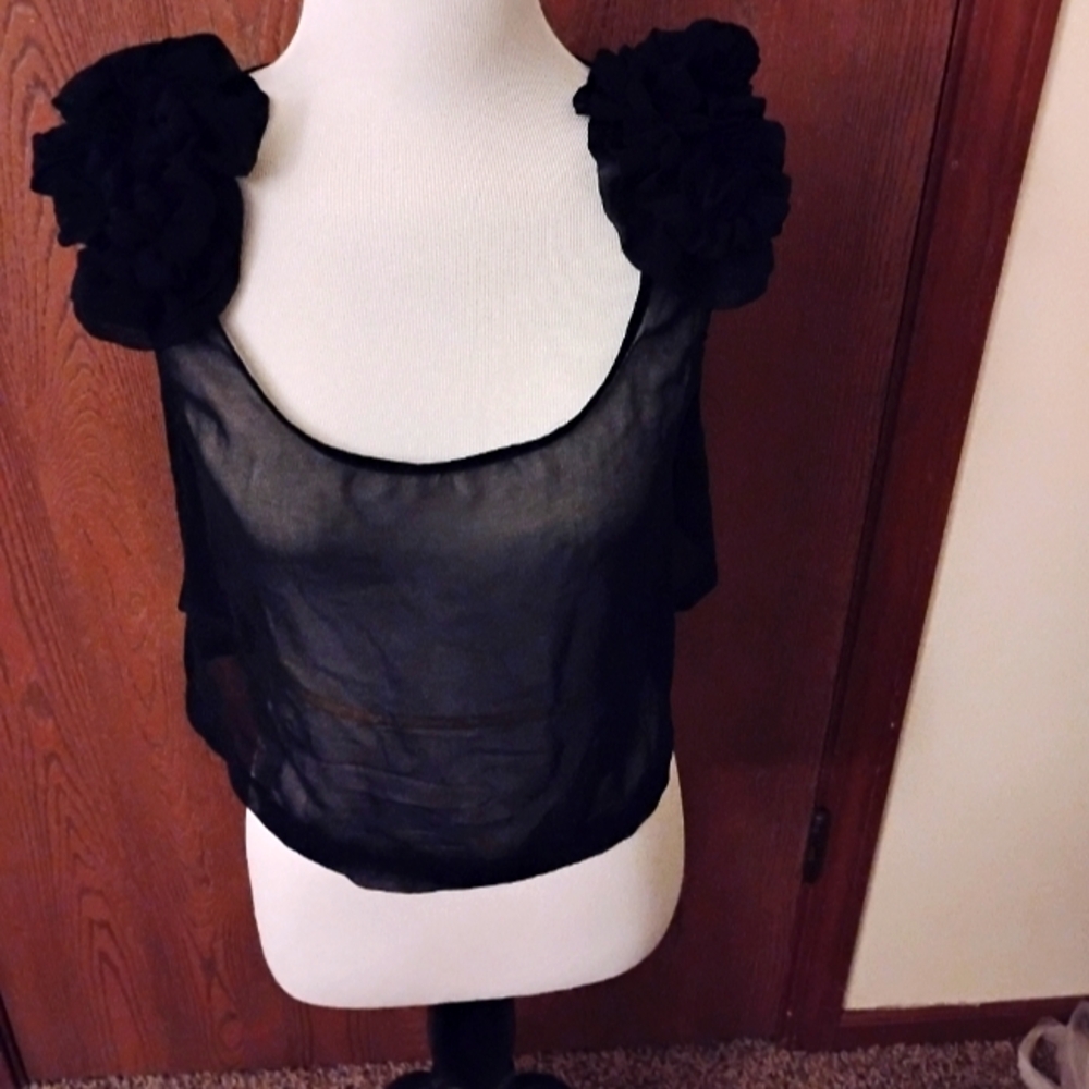 Mesh Black Crop Top